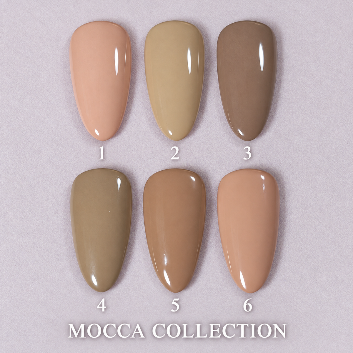 MOCHA COLLECTION