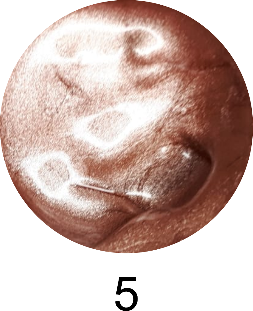 Stamp Gel 5