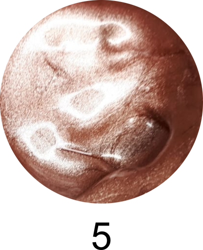 Stamp Gel 5