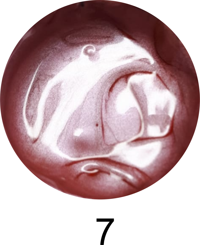 Stamp Gel 7